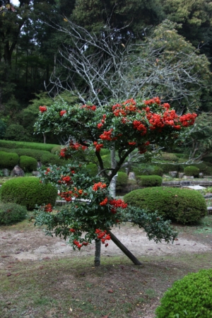 ishiyama0037