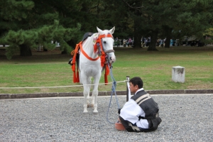 jidai0003