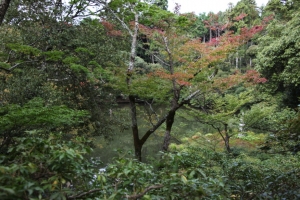 kinkakuji0008
