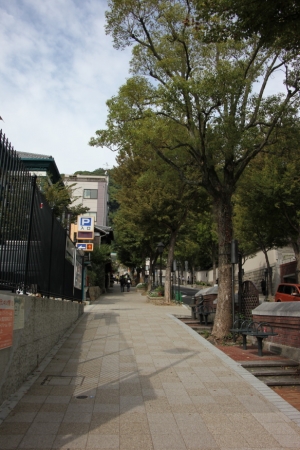 yamagawa0005