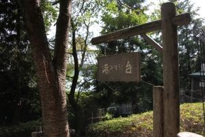 yamagawa0019