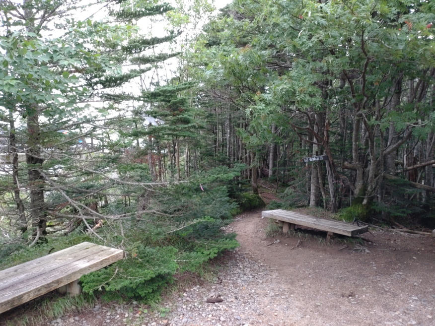 kinpusan 002