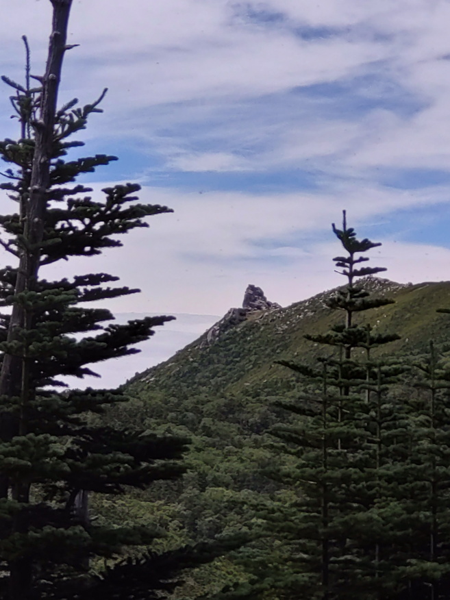 kinpusan 018