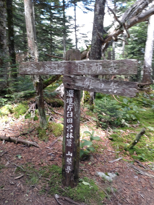 kinpusan 020