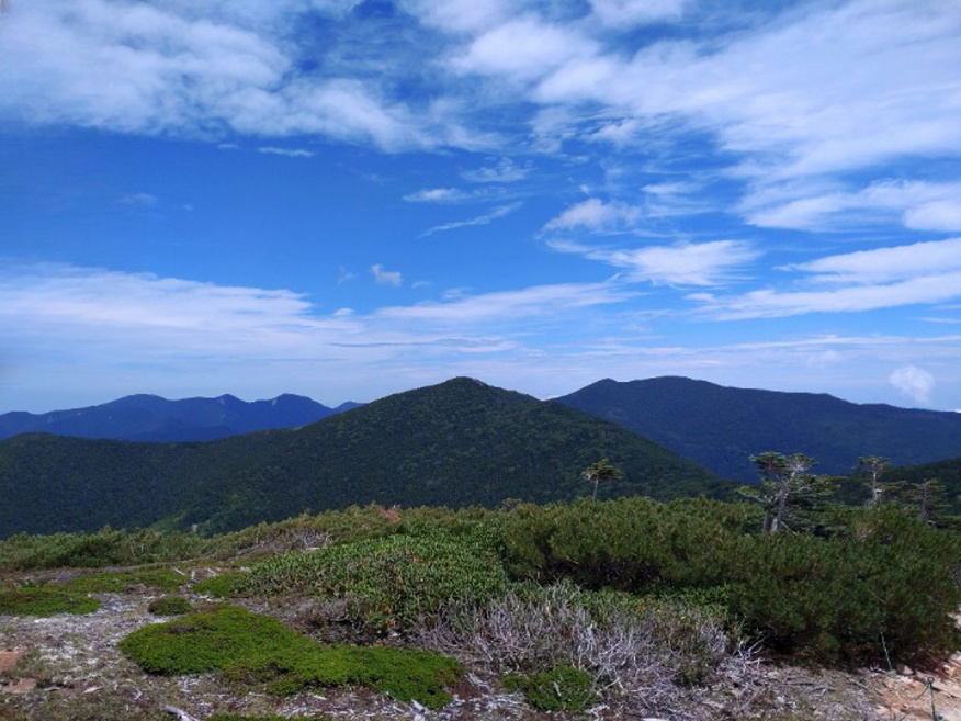 kinpusan 024