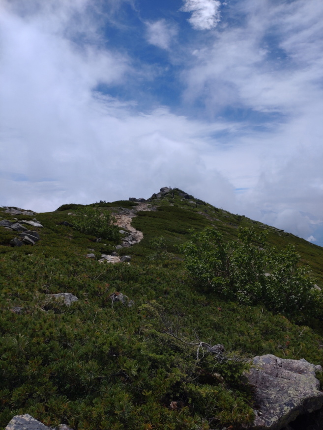 kinpusan 029