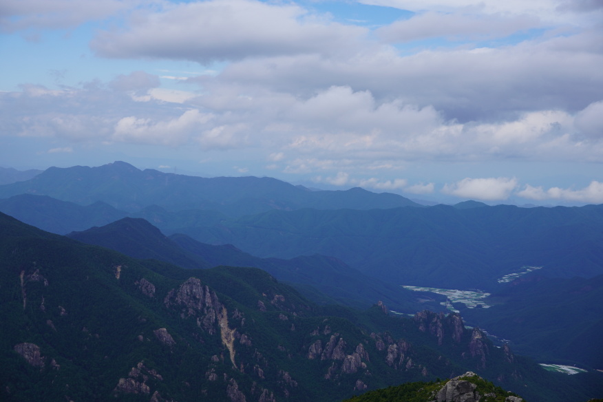 kinpusan 051