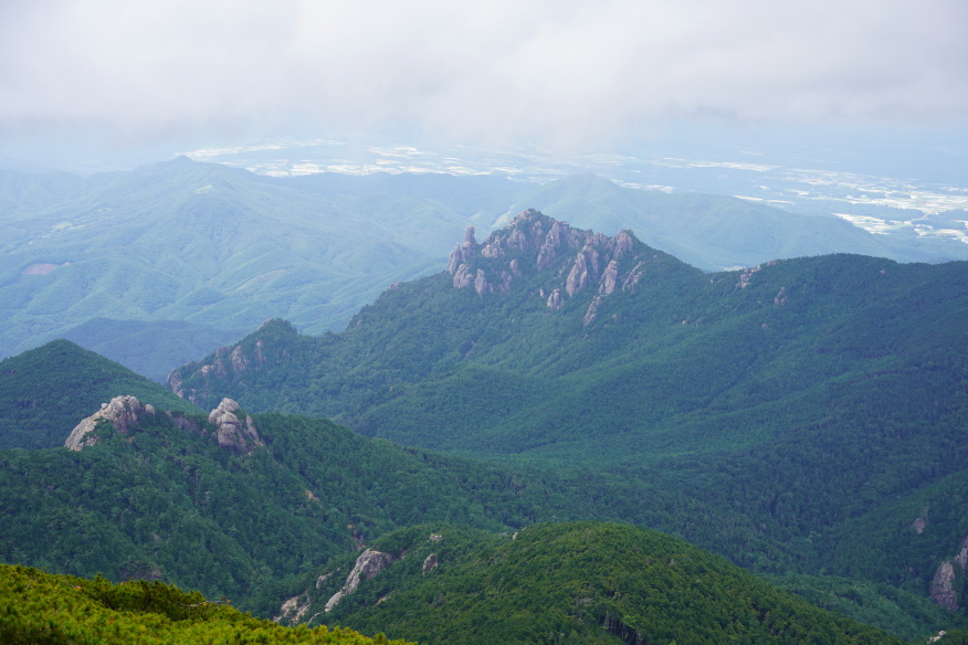 kinpusan 054