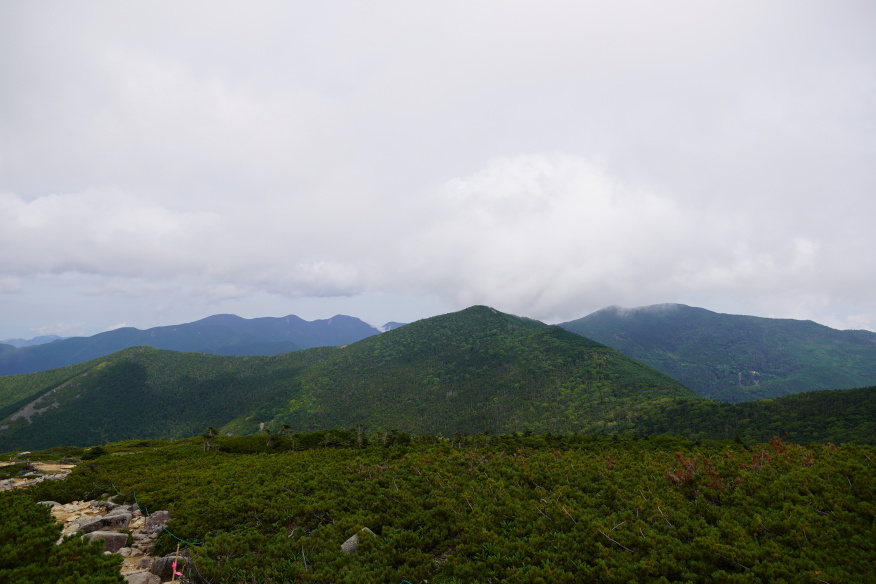 kinpusan 056
