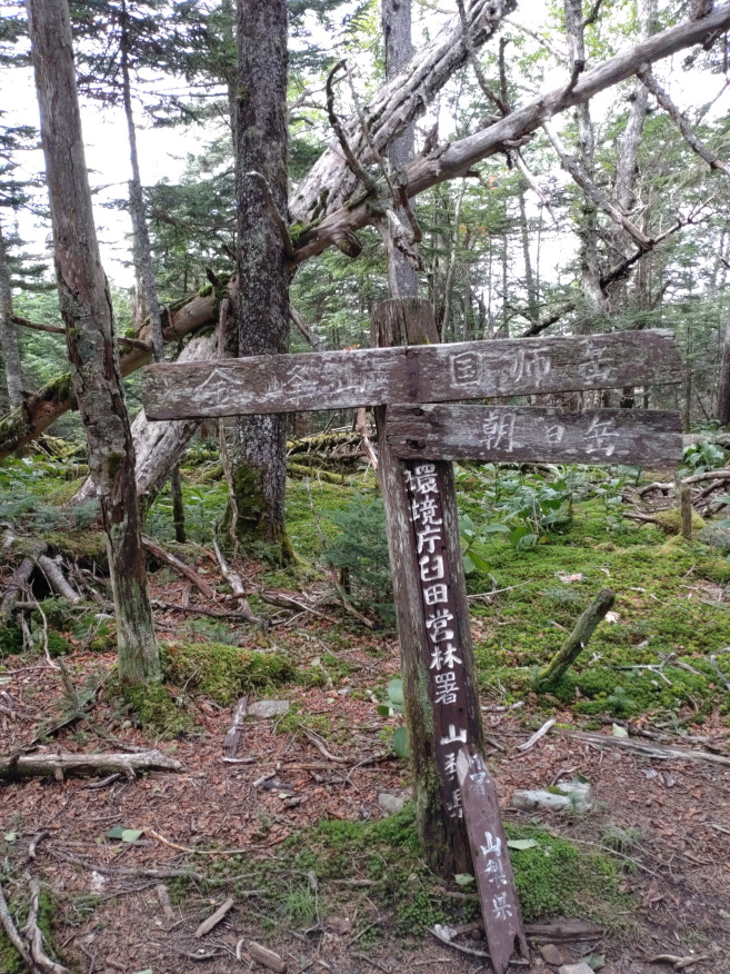 kinpusan 059