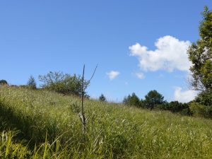 kirigamine 003
