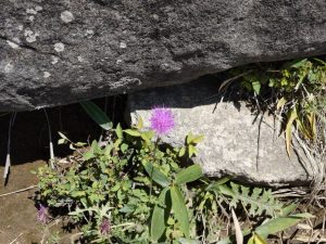kirigamine 023