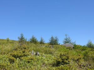 kirigamine 028