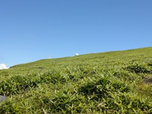 kirigamine 035