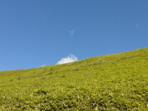 kirigamine 067