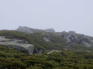 kisokoma 034