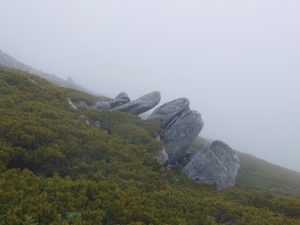 kisokoma 035