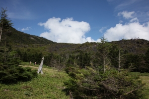 kitayokodake 003