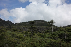 kitayokodake 008