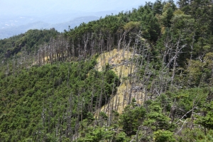 kitayokodake 031