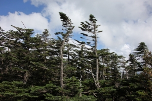 kitayokodake 039