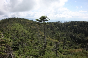 kitayokodake 040
