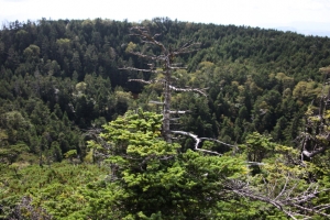 kitayokodake 042