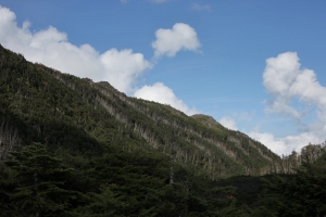 kitayokodake 048