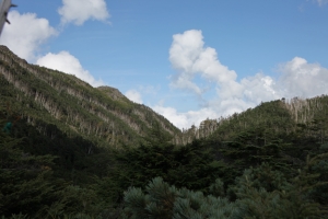kitayokodake 049