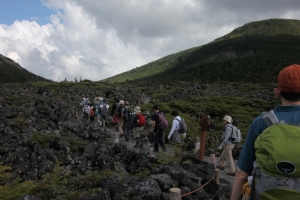 縞枯れの山（２／２）