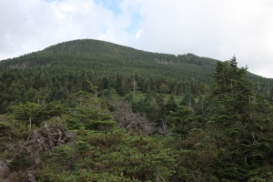 kitayokodake 060