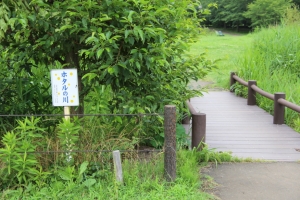 kodai 040
