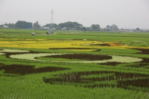 kodai 057