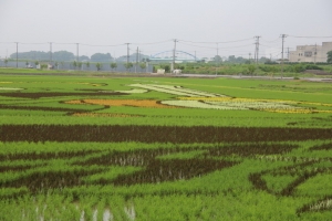 kodai 058