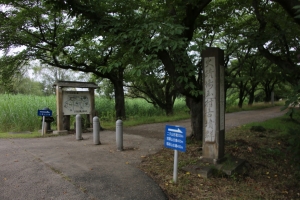 kodai 061