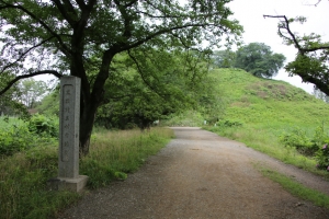 kodai 062