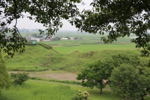 kodai 068