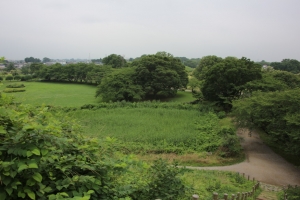 kodai 069