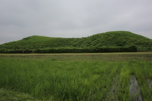kodai 072