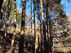 kokuzoutoge 014