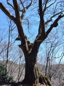 kokuzoutoge 041