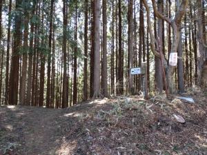 kokuzoutoge 062