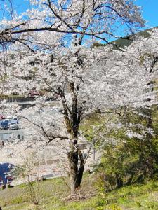 kokuzoutoge 071
