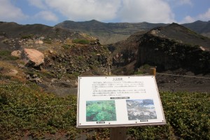 kumamoto 037