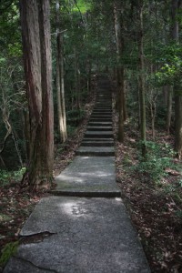 kumamoto 115