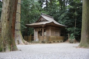 kumamoto 119