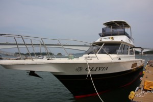 kumamoto 135