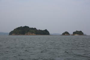 kumamoto 140