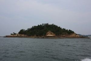 kumamoto 141