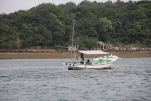 kumamoto 143